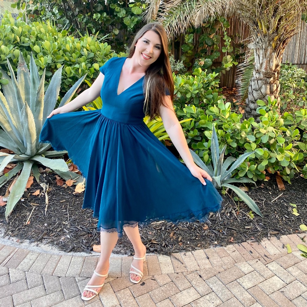 Dress the Population Corey Chiffon Fit & Flare Cocktail Dress